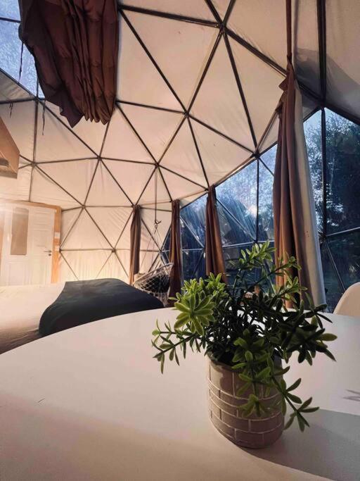 Magia Ecolodges, Glamping Punta Colorada Exteriér fotografie