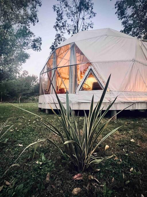 Magia Ecolodges, Glamping Punta Colorada Exteriér fotografie